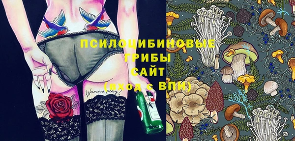 а пвп мука Дмитриев